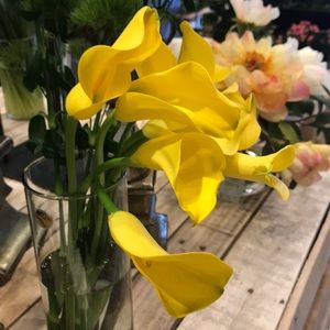 Meet your Posher, Dina